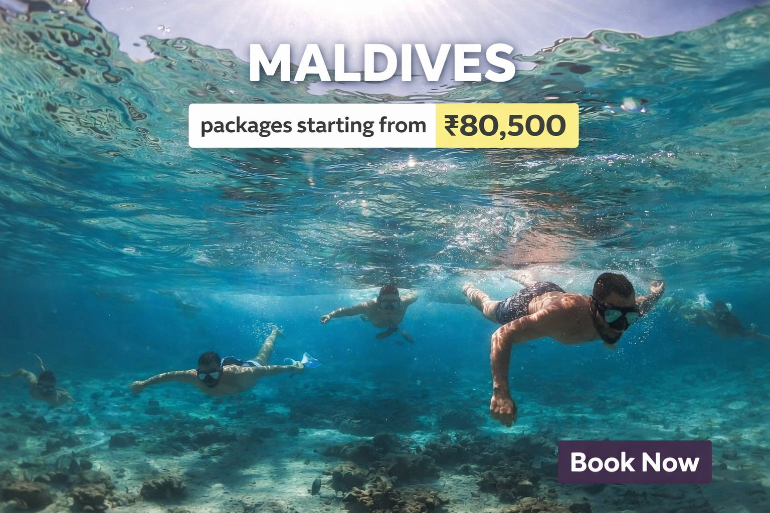 ChatGPT Image Feb 23, 2026, 11_24_47 AM